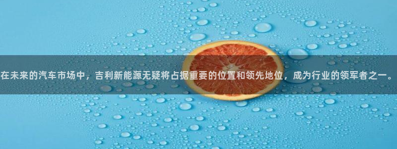 摩根娱乐宝创始人:在未来的汽车市场中,吉利新能源无疑将占据重