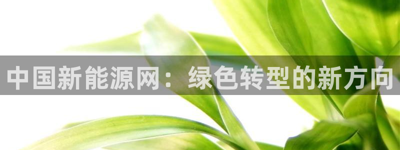摩根娱乐宝手机客户端:中国新能源网:绿色转型的新方向