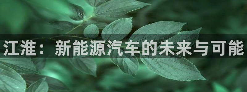 摩根娱乐宝使用操作:江淮:新能源汽车的未来与可能