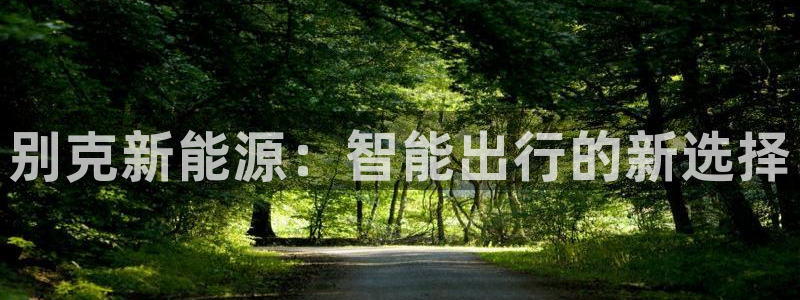 摩根娱乐¤股s东50015:别克新能源:智能出行的新选择