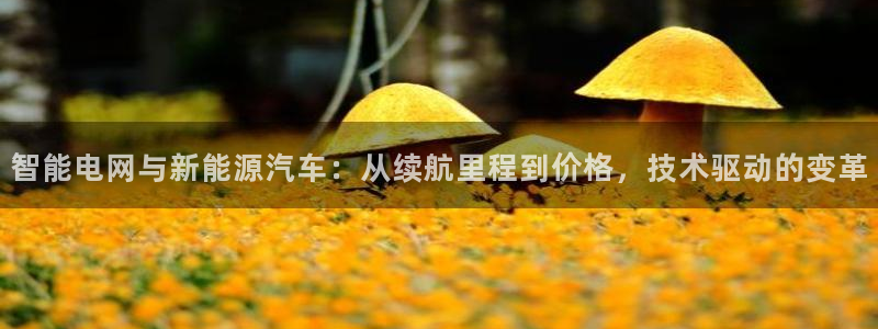摩根国际娱乐会所电话:智能电网与新能源汽车:从续航里程到价格