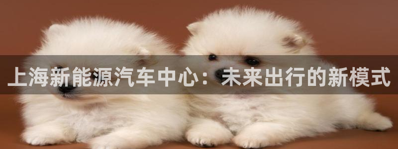 摩根娱乐宝微信客服:上海新能源汽车中心:未来出行的新模式