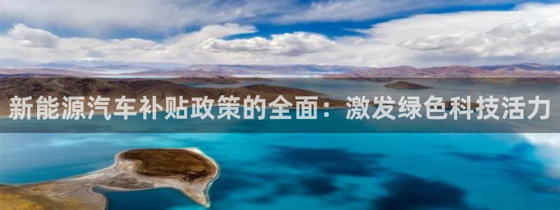 摩根娱乐宝怎么进入:新能源汽车补贴政策的全面:激发绿色科技活