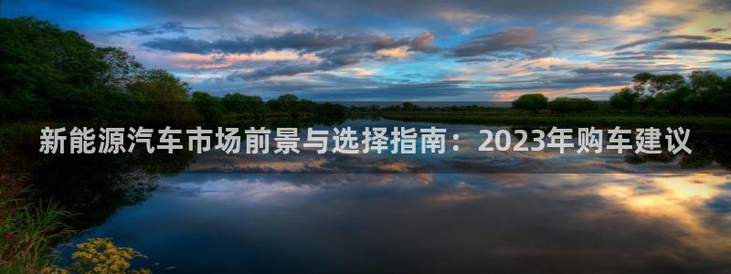 摩根娱乐视频大全:新能源汽车市场前景与选择指南:2023年购