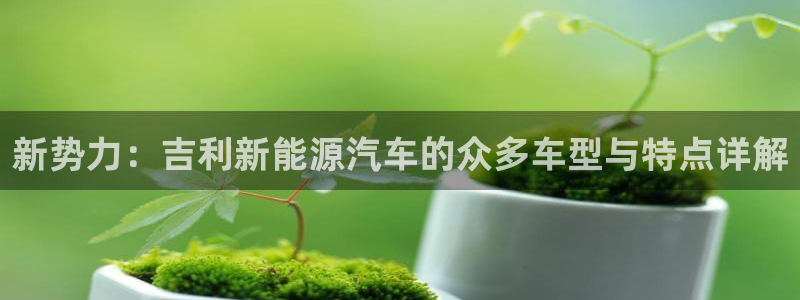 摩根大通黄金娱乐目标价:新势力:吉利新能源汽车的众多车型与特