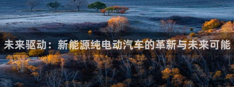 摩根娱乐登录入口网站:未来驱动:新能源纯电动汽车的革新与未来