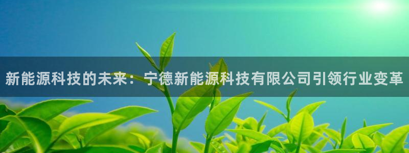 摩根娱乐宝邀请码:新能源科技的未来:宁德新能源科技有限公司引