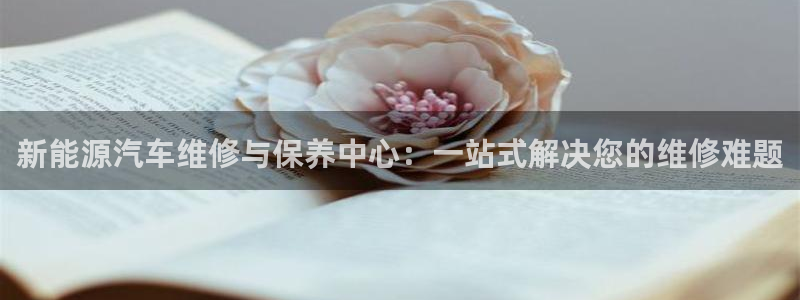 摩根娱乐宝是什么东西