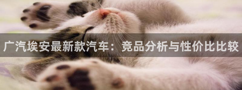 义乌摩根娱乐招聘少爷