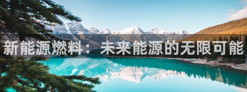 摩根娱乐百家号