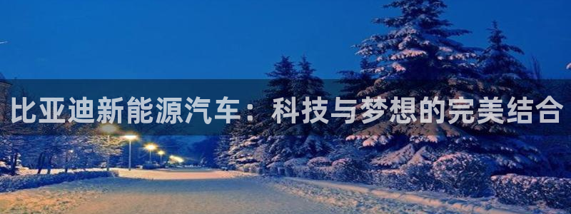 重生娱乐美日混血摩根：比亚迪新能源汽车：