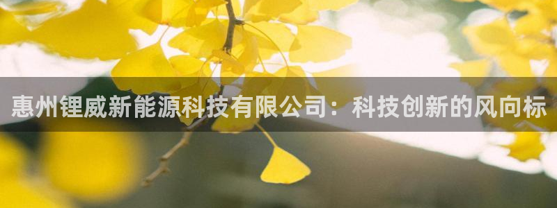 摩根大通收购娱乐公司：惠州锂威新能源科技